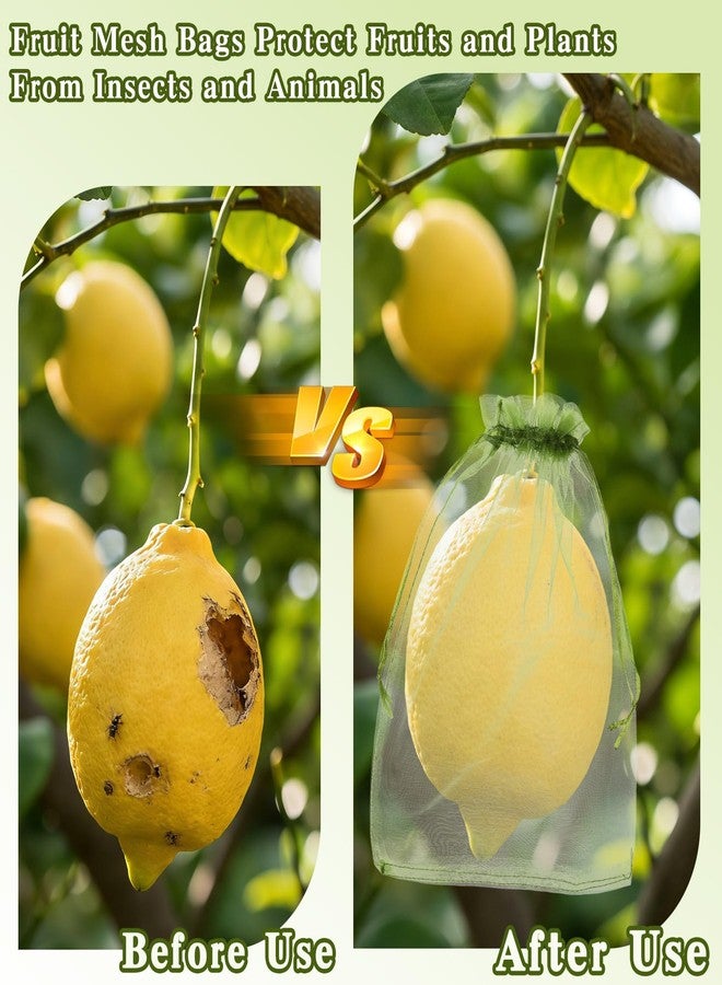 KQNBI 100Pcs Fruit Protection Bags 4x6inch Fruit Tree Netting Mesh Bag Green Fruit Netting Cover with Drawstring Fruits Protector Pest Barrier Organza Bags for Garden Protection Small Fruits Vegetable Plant - Image 2
