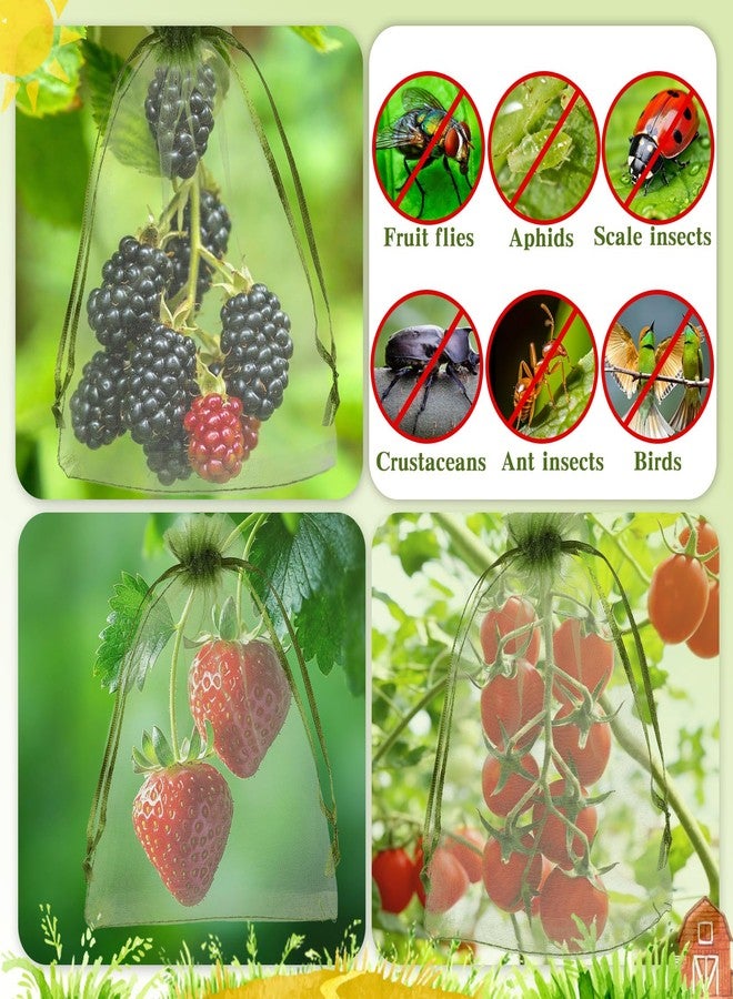 KQNBI 100Pcs Fruit Protection Bags 4x6inch Fruit Tree Netting Mesh Bag Green Fruit Netting Cover with Drawstring Fruits Protector Pest Barrier Organza Bags for Garden Protection Small Fruits Vegetable Plant - Image 4