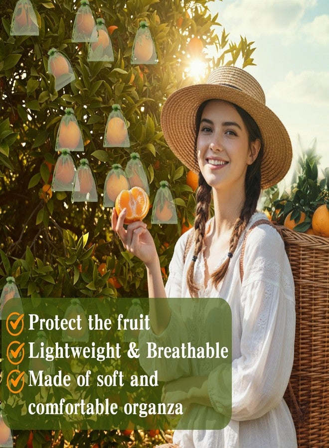 KQNBI 100Pcs Fruit Protection Bags 4x6inch Fruit Tree Netting Mesh Bag Green Fruit Netting Cover with Drawstring Fruits Protector Pest Barrier Organza Bags for Garden Protection Small Fruits Vegetable Plant - Image 5
