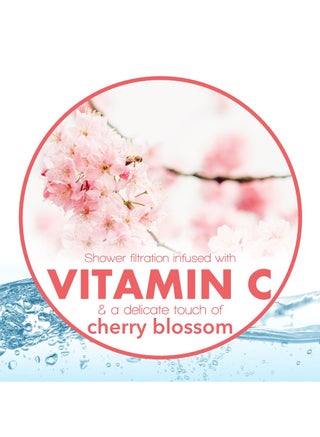 Vitamin Shower Filter