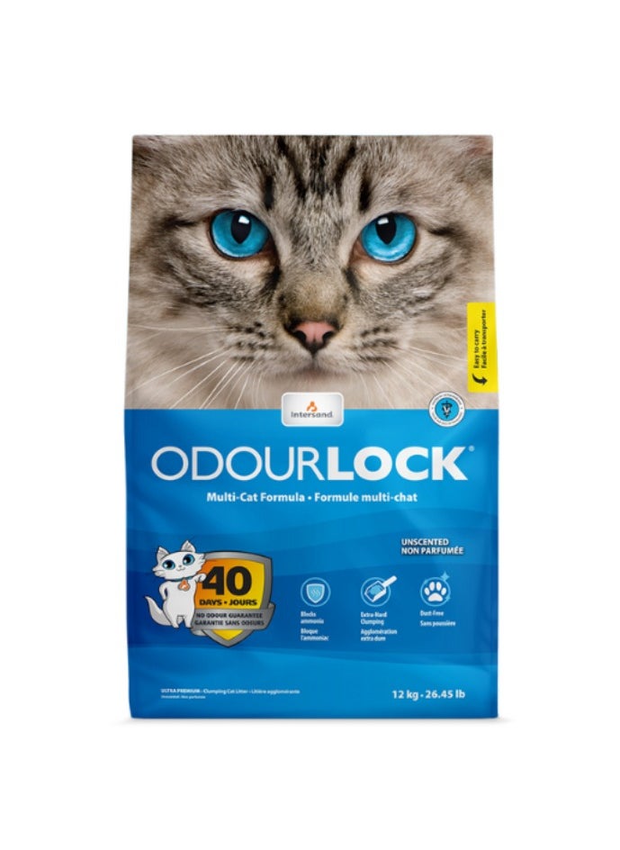 INTERSAND Odourlock Unscented Cat Litter 12kg 