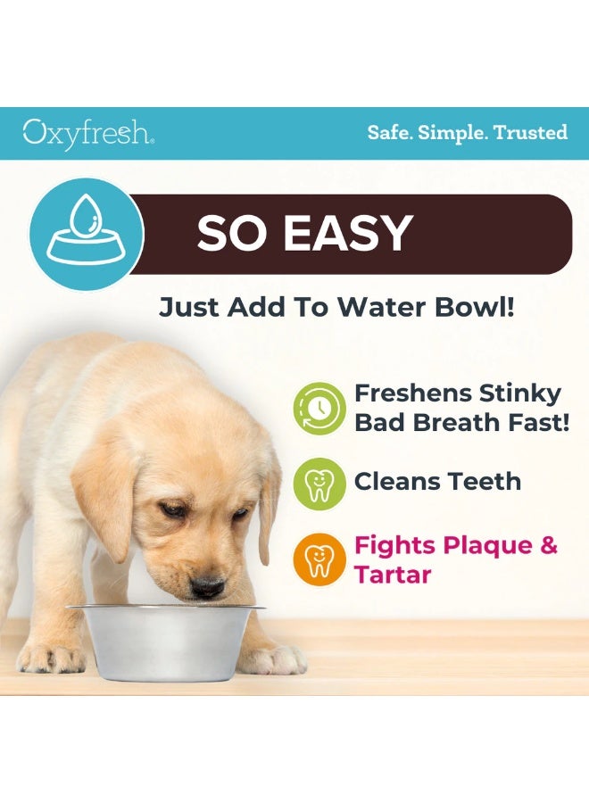 Oxyfresh Pet Dental Water Additive 100ml for Dogs and Cats Breath Freshener Plaque and Tartar Care - Image 3