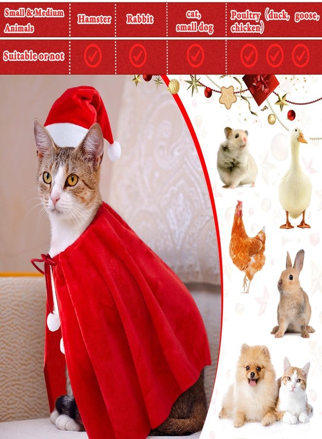 Weewooday 12 Pcs Christmas Outfit Pet Santa Hat with Adjustable Chin Strap Red Small Christmas Cat Clothes Cat Dog Costume Xmas Cloak for Poultry Hen Rooster Goose Duck Parrot New Year Party Cosplay - Image 3