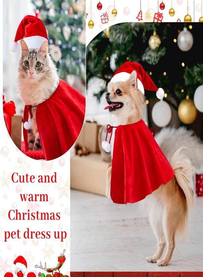 Weewooday 12 Pcs Christmas Outfit Pet Santa Hat with Adjustable Chin Strap Red Small Christmas Cat Clothes Cat Dog Costume Xmas Cloak for Poultry Hen Rooster Goose Duck Parrot New Year Party Cosplay - Image 5