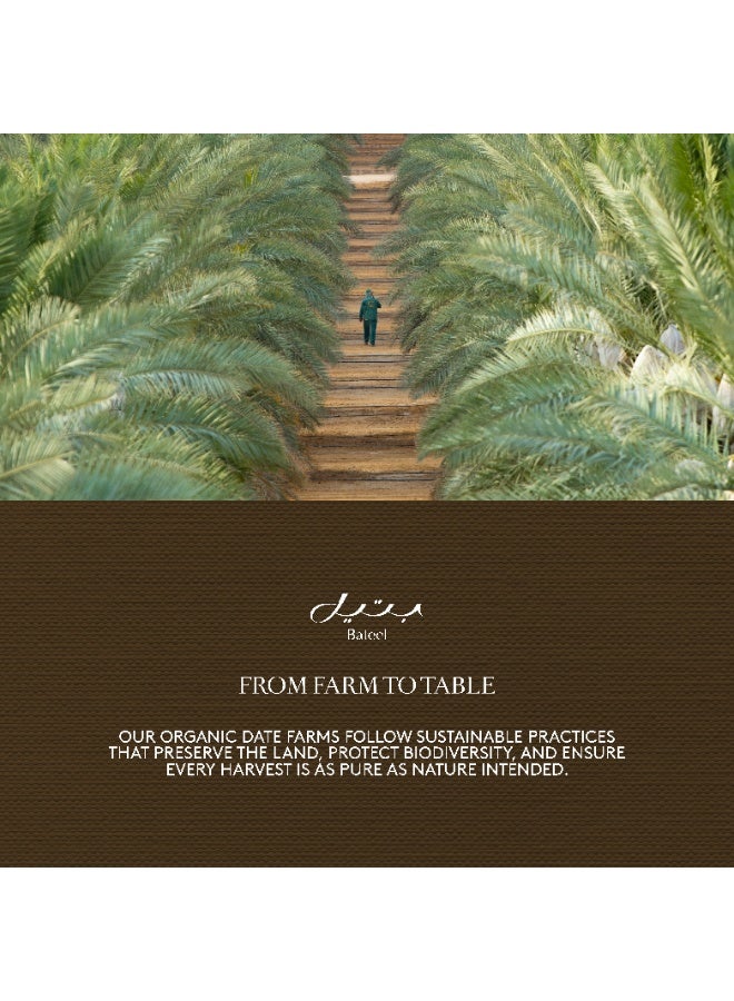 Bateel Date Dhibs Classic - Image 5