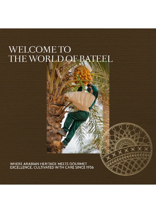 Bateel Date Dhibs Classic - Image 4
