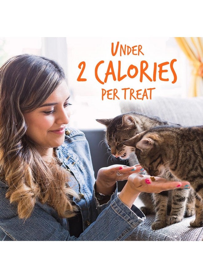 Fruitables Cat Treats, Healthy Treats for Cats, Low Calorie and Packed with Protein, Crunchy Biscuits, Free of Wheat, Corn and Soy, Made with Real Tuna and Pumpkin, 30oz - Image 3