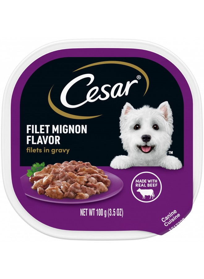 CESAR Filets in Gravy Adult Wet Dog Food, Filet Mignon Flavor, 3.5 oz. Easy Peel Trays, Pack of 24 - Image 1