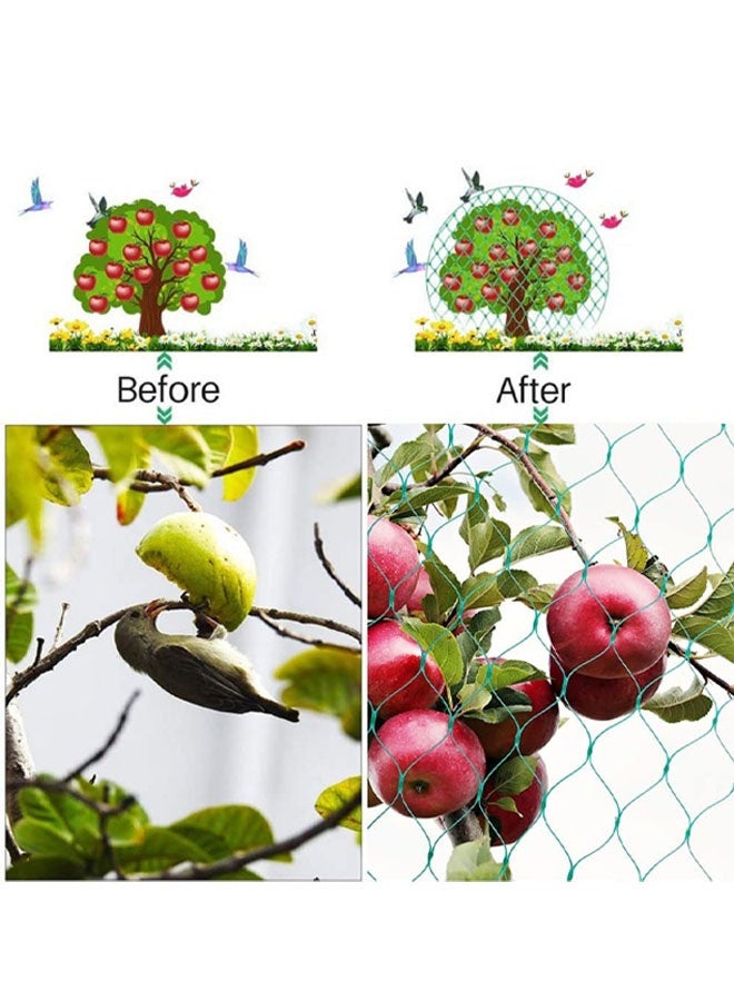 شبكة حماية من الطيور للحديقة، شبكتان بطول 10 أمتار لكل منهما، شبكة لأشجار الفاكهة لا تتشابك وقابلة لإعادة الاستخدام، تحمي أشجار الفاكهة والخضراوات والنباتات من الطيور والغزلان. - Image 4