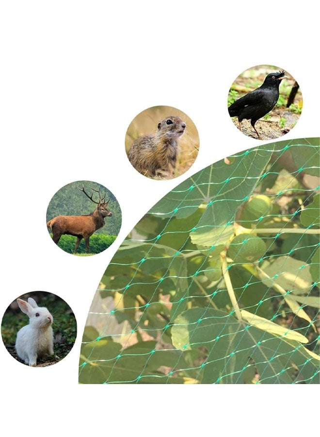 شبكة حماية من الطيور للحديقة، شبكتان بطول 10 أمتار لكل منهما، شبكة لأشجار الفاكهة لا تتشابك وقابلة لإعادة الاستخدام، تحمي أشجار الفاكهة والخضراوات والنباتات من الطيور والغزلان. - Image 3