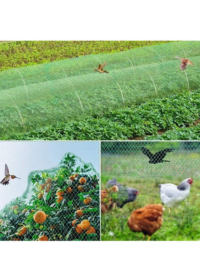 شبكة حماية من الطيور للحديقة، شبكتان بطول 10 أمتار لكل منهما، شبكة لأشجار الفاكهة لا تتشابك وقابلة لإعادة الاستخدام، تحمي أشجار الفاكهة والخضراوات والنباتات من الطيور والغزلان. - Image 5