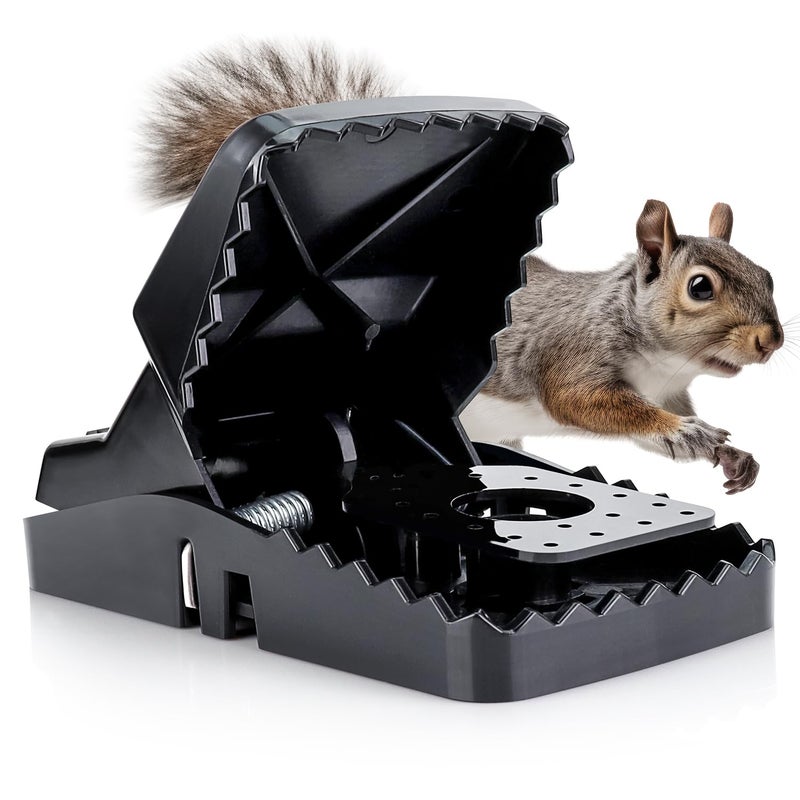 eXuby Squirrel Trap (2 Pack) - Consistent & Humane Kill Every Time with no Failures - Powerful Spring - 5" Large Opening - 96% Instant Kill - for Attic, Garden, Forest & More - Reusable - Easy Setup - Image 1