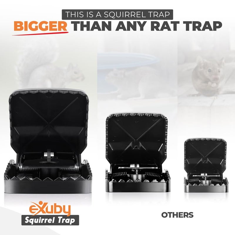 eXuby Squirrel Trap (2 Pack) - Consistent & Humane Kill Every Time with no Failures - Powerful Spring - 5" Large Opening - 96% Instant Kill - for Attic, Garden, Forest & More - Reusable - Easy Setup - Image 3