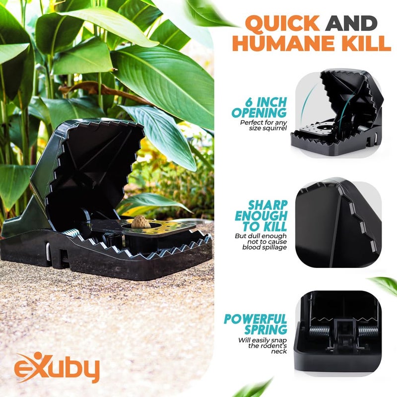eXuby Squirrel Trap (2 Pack) - Consistent & Humane Kill Every Time with no Failures - Powerful Spring - 5" Large Opening - 96% Instant Kill - for Attic, Garden, Forest & More - Reusable - Easy Setup - Image 5