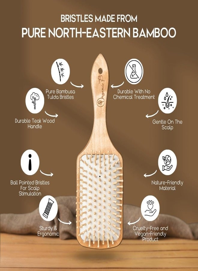 Organic B Wooden Paddle Hair Brush, Hair Brush Comb for Women, Bamboo Brush for Hair Care, Detangling Hair Brush for Thick Hair, Anti Static Brush for Curly and Straight Hair, Scalp Massage - Image 3