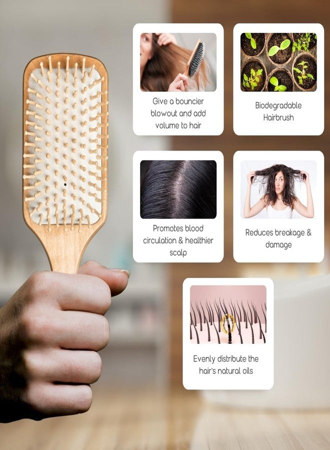 Organic B Wooden Paddle Hair Brush, Hair Brush Comb for Women, Bamboo Brush for Hair Care, Detangling Hair Brush for Thick Hair, Anti Static Brush for Curly and Straight Hair, Scalp Massage - Image 4