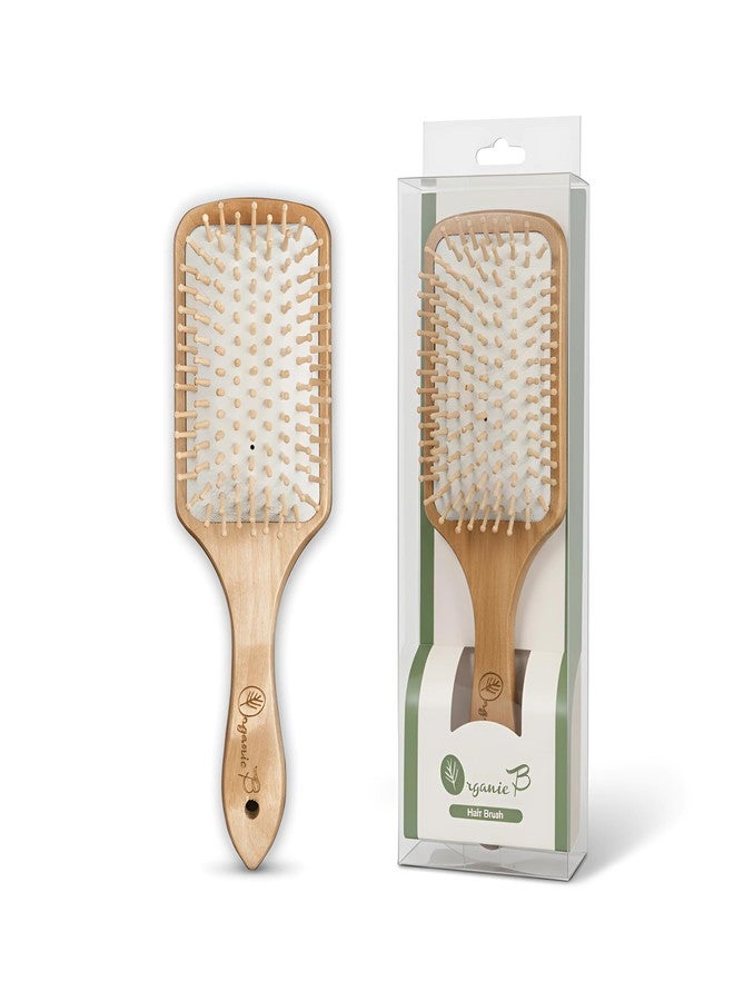 Organic B Wooden Paddle Hair Brush, Hair Brush Comb for Women, Bamboo Brush for Hair Care, Detangling Hair Brush for Thick Hair, Anti Static Brush for Curly and Straight Hair, Scalp Massage - Image 1