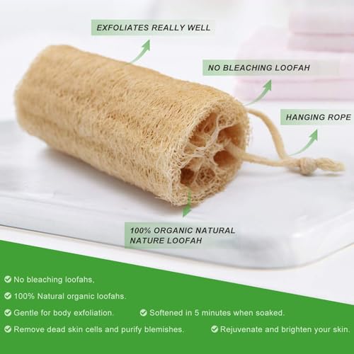 METLUCK Natural Loofah Sponge, METLUCK 6 Pack Organic Real Loofah Exfoliating Body Scrubber Luffa Sponge Natural Loofah Bulk for Men Women in Bath Shower Deep Clean - Image 3