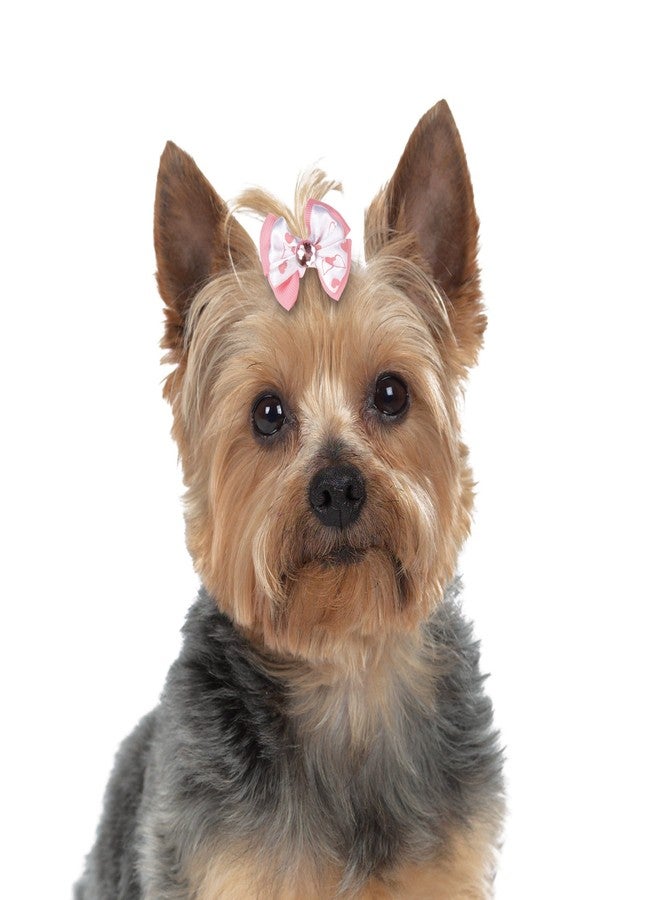 أريا علب أريا مولي فيوز للكلاب، 45 قطعة - Image 3