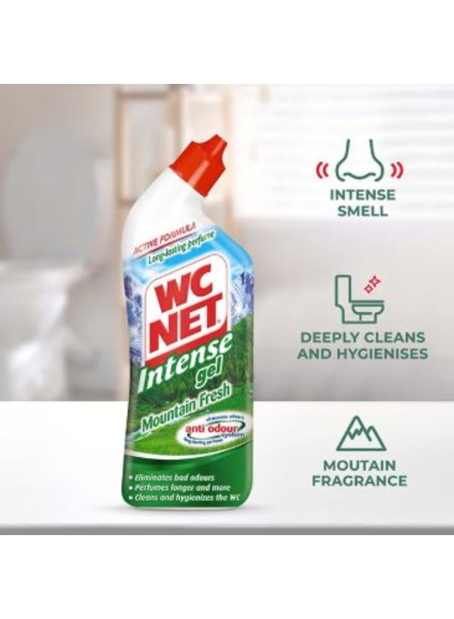 Wc Net Toilet Cleaner Intense Gel Mountain Fresh 750ml - Image 1