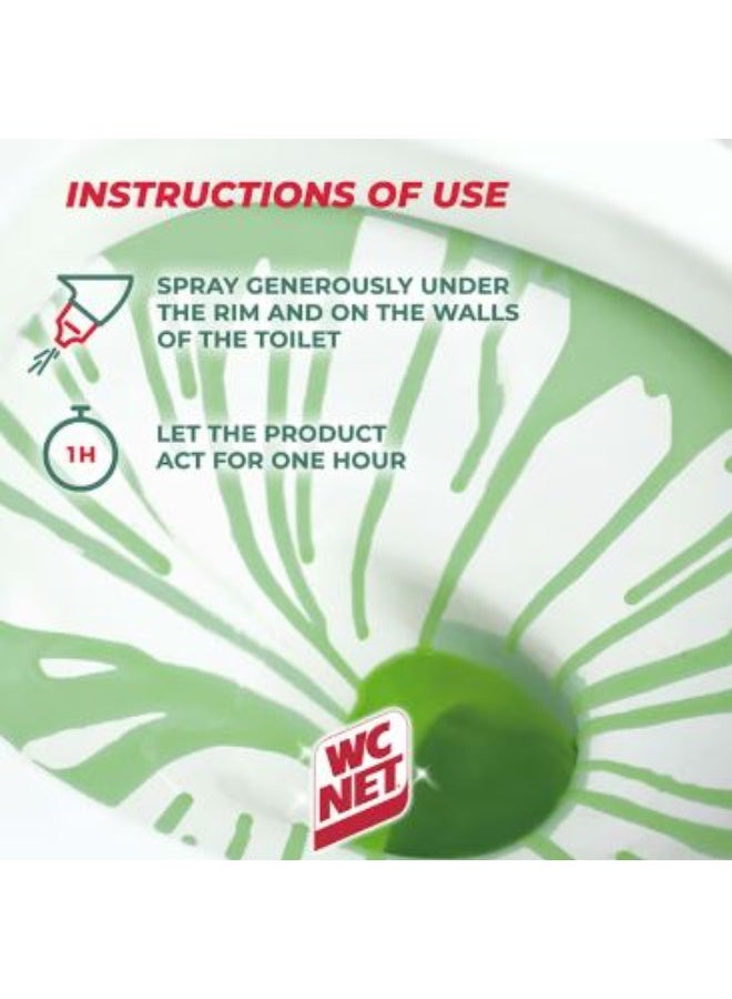 Wc Net Toilet Cleaner Intense Gel Mountain Fresh 750ml - Image 3