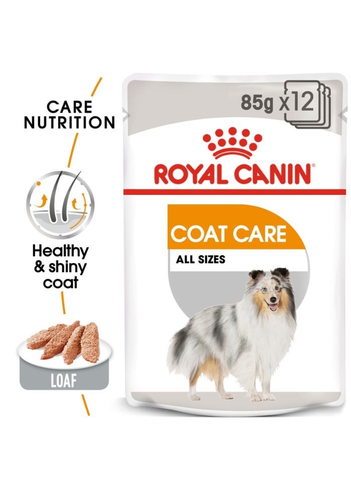 ROYAL CANIN Canine Care Nutrition Coat Care (WET FOOD - Pouches) 12 x 85g - Image 1