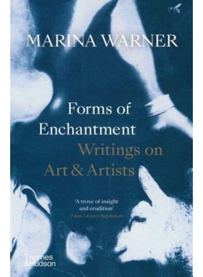 Forms of Enchantment Writings on Art Artists - Paperback