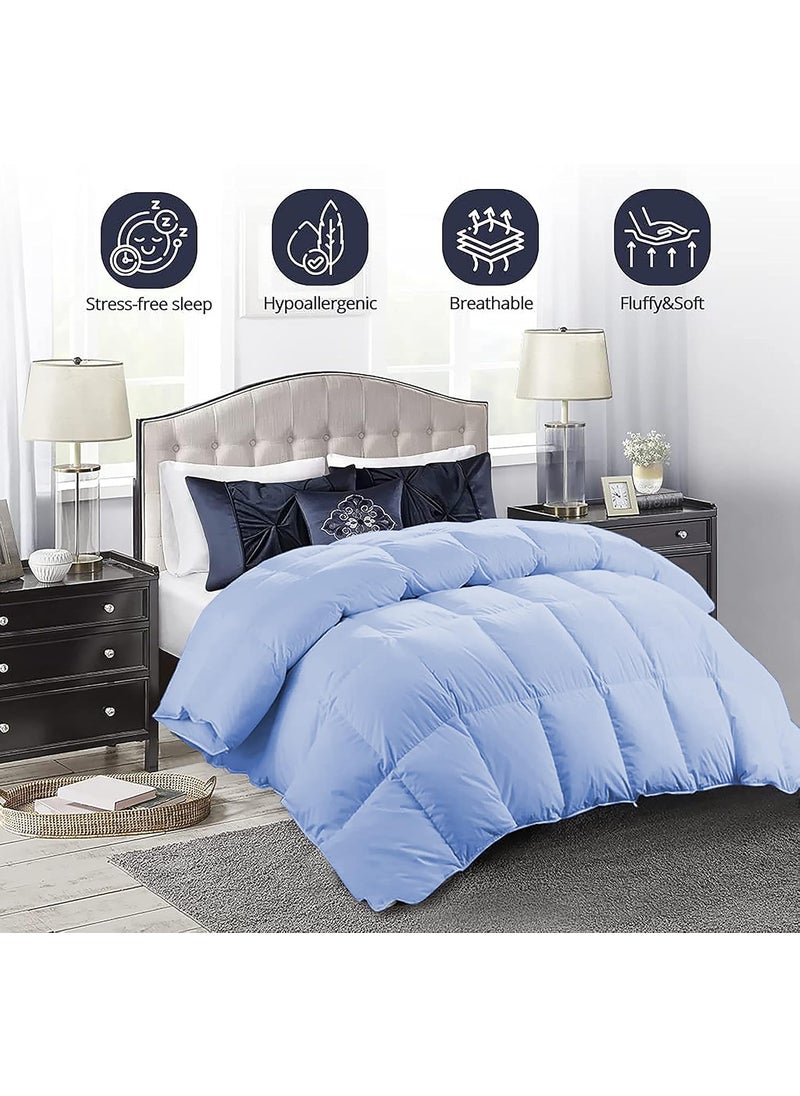 Indian Kingdom Indian Kingdom All Season 200 GSM Comforter Premium Collection Quilted Comforter 92 x 106 Inches233cm x 269cm King Size ComforterSky Blue  - Image 2