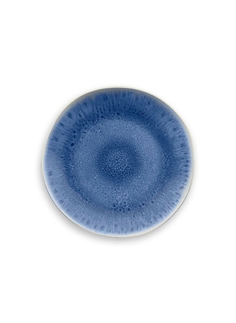 TarHong - TarHong Organic Radiant Glaze Dinner Plate, Indigo - Image 1