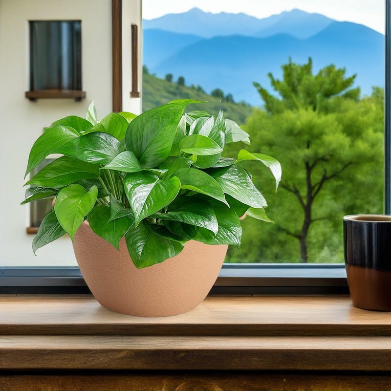 Light Brown Resin Wall Hanging Planter Half Round Indoor Outdoor Balcony Garden - Image 5