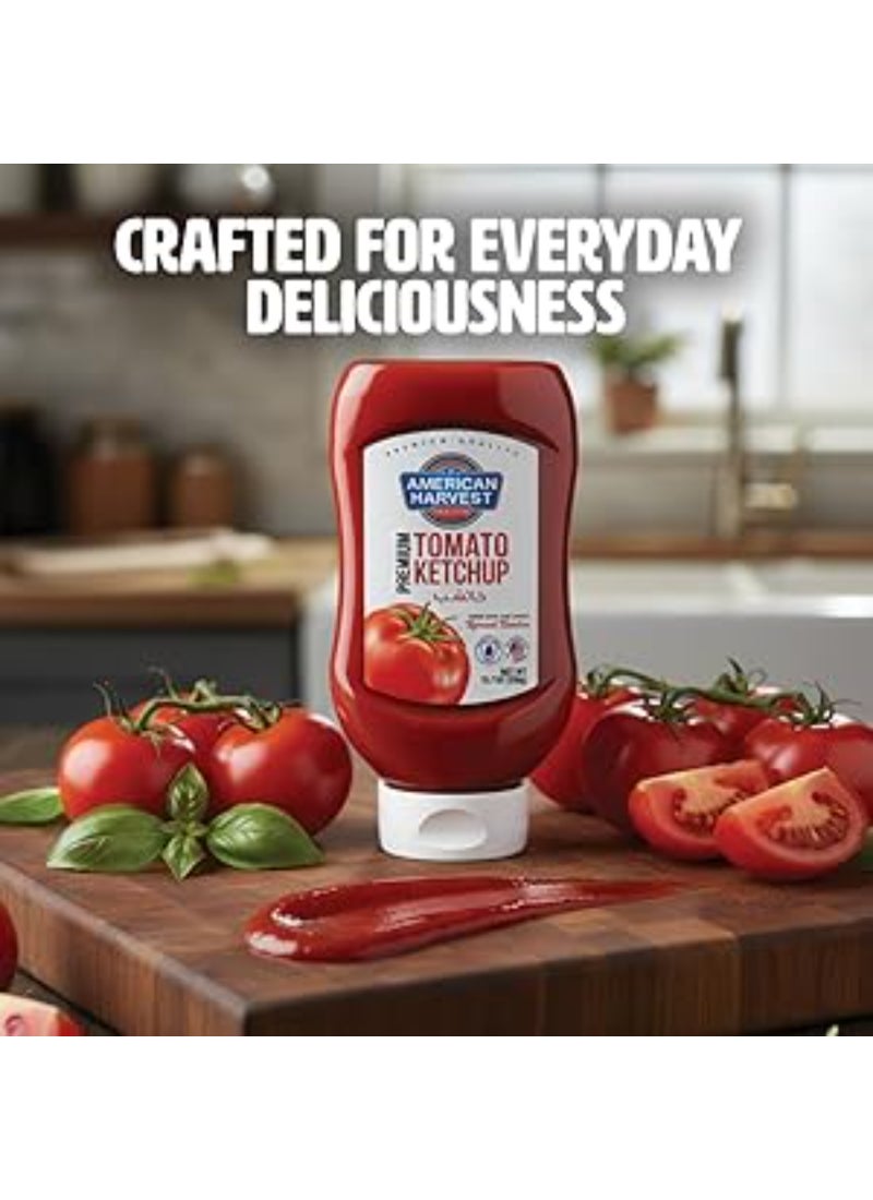 American Harvest Ketchup 340gm, Pack of 3 - Image 5
