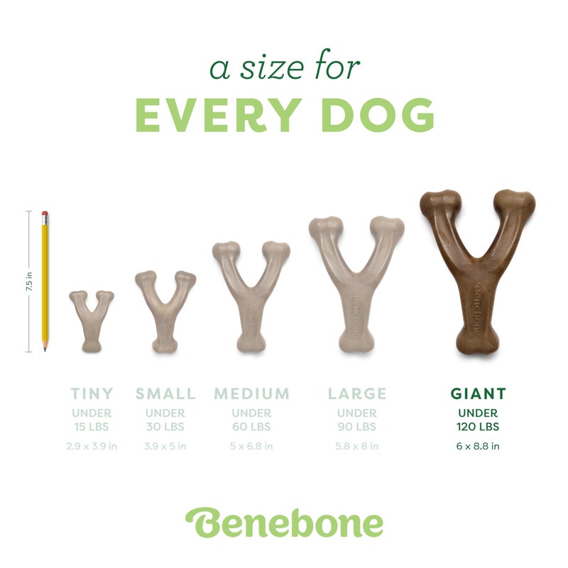 Benebone Wishbone Durable Dog Chew Toy for Aggressive Chewers, Made in USA, Giant, Real Bacon Flavor - Image 4