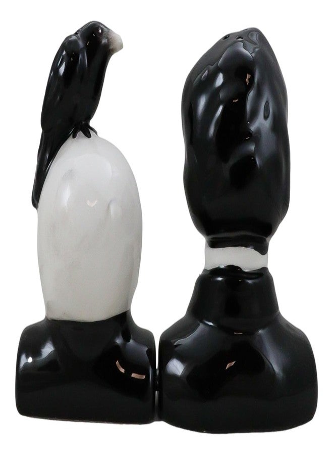 Ebros Gift Gothic Poet Edgar Allen Poe With Black Raven Crow On Skull Decorative Ceramic Salt And Pepper Shakers Figurines Quoth The Raven Nevermore Macabre - Image 5