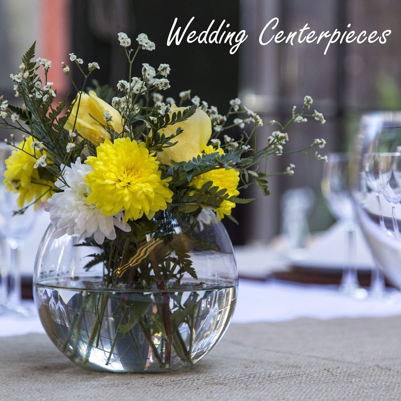 سي واي إس إكسيل Cys Excel Glass Bubble Bowl (H-6 "" W-8 "" تقريبًا 3/4 Gal.) | خيارات متعددة الحجم الأسماك مزهرية | الزجاج جولة وعاء terrarium | Globe Flower Vase Centrence - Image 5