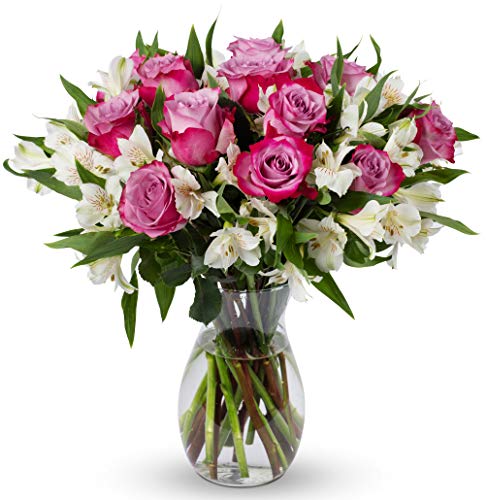 Benchmark Bouquets - Delightful Roses & Alstroemeria (Glass Vase Included) - Fresh Flowers for Delivery - Gift for Graduation, Birthday, Anniversary, Sympathy, Get Well, Congratulations - Image 1