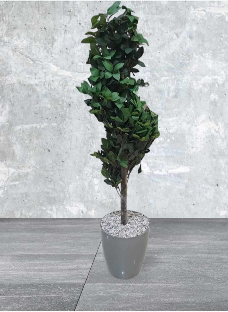 AL KHALDIYA Artificial decorative plant tree with pot, 120 cm  - Image 2