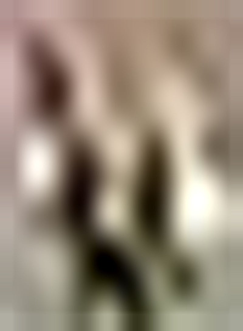 GGOOT 10pcs gemischte Farbe Tulpenzwiebeln seltene Sorten Garten Zierblumen Landschaft dekorativer Blumenstrauß pflegeleicht Outdoor Pflanzung Nicht schwierig - Image 1