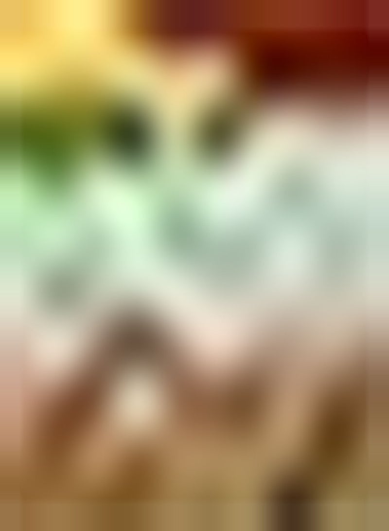 GGOOT 10pcs gemischte Farbe Tulpenzwiebeln seltene Sorten Garten Zierblumen Landschaft dekorativer Blumenstrauß pflegeleicht Outdoor Pflanzung Nicht schwierig - Image 2