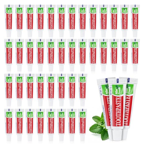 KRIZJUES 100 Tubes Travel Size Toothpaste in Bulk Disposable Mini Mint Compact Small Pocket Size Essential Toothpaste for Vacation Hotel Shelter Homeless Nursing Home Charity Camping Single Use 017 oz 5g - Image 2