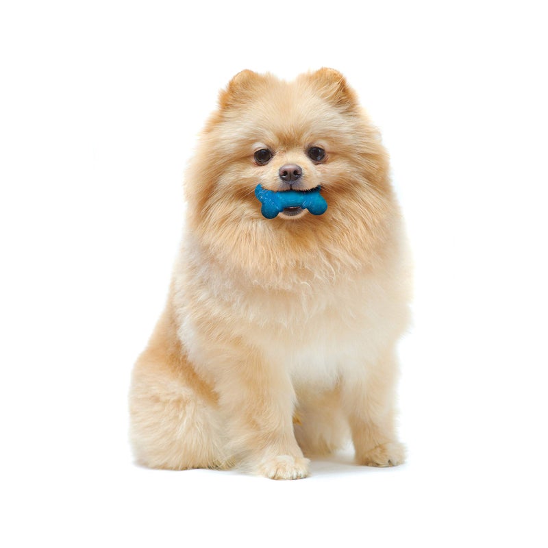 Nylabone Moderate Chew Flexi Chew Bone Peanut Butter & Bacon XX-Small/Tiny (2 Count) - Image 4