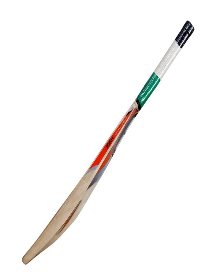 بريوفي مضرب كريكيت خشبي من خشب الصفصاف والحور من بريوفي، إصدار محدود للأطفال الرضع (SS) (SS) - Image 5