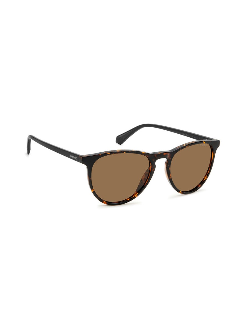 Polaroid Women's Polarized Oval Sunglasses - Pld 4152/S Beige Millimeter - Lens Size: 54 Mm - Image 2