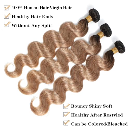 ROYAL IMPRESSION 12A Ombre Body Wave Bundles Human Hair T1B2712 12 12 Brazilian Remy Ombre Brown Human Hair 100 Unprocessed Virgin Brazilian Body Wave Hair Weave 3 Bundles - Image 5