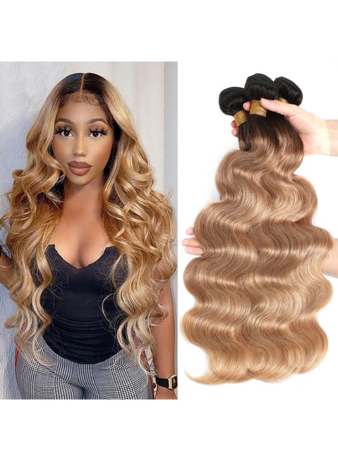 ROYAL IMPRESSION 12A Ombre Body Wave Bundles Human Hair T1B2712 12 12 Brazilian Remy Ombre Brown Human Hair 100 Unprocessed Virgin Brazilian Body Wave Hair Weave 3 Bundles - Image 3