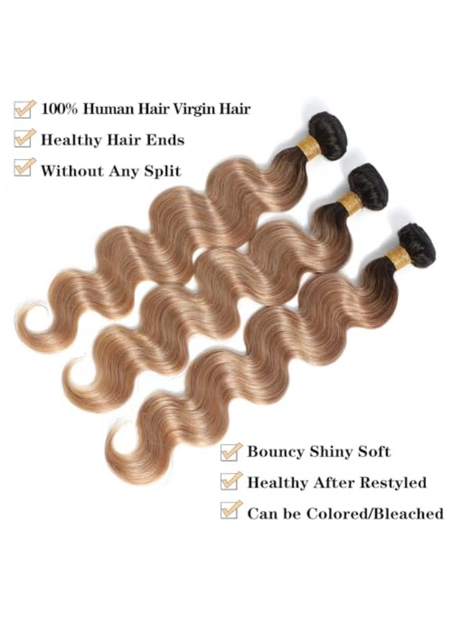 ROYAL IMPRESSION 12A Ombre Body Wave Bundles Human Hair T1B2712 12 12 Brazilian Remy Ombre Brown Human Hair 100 Unprocessed Virgin Brazilian Body Wave Hair Weave 3 Bundles - Image 4