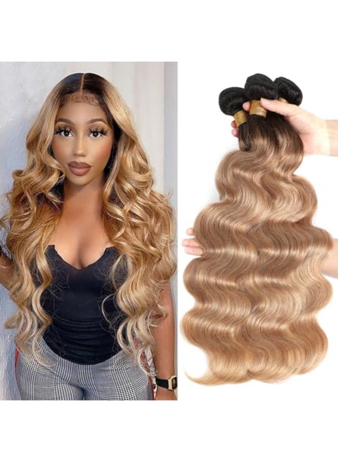 ROYAL IMPRESSION 12A Ombre Body Wave Bundles Human Hair T1B2712 12 12 Brazilian Remy Ombre Brown Human Hair 100 Unprocessed Virgin Brazilian Body Wave Hair Weave 3 Bundles - Image 1