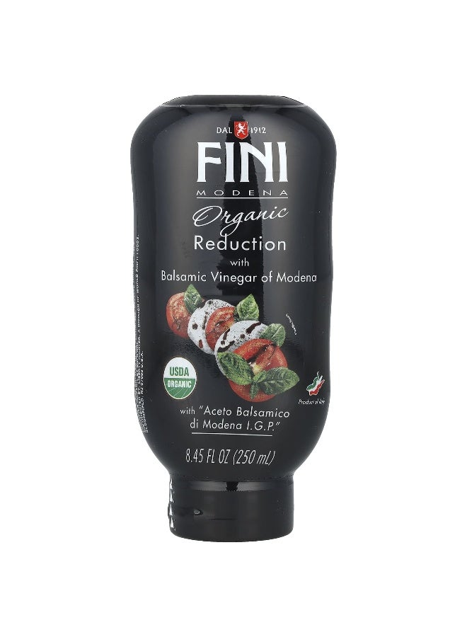 FINI MODENA Fini Modena, Organic Reduction with Balsamic Vinegar of Modena, 8.45 fl oz (250 ml)  - Image 1
