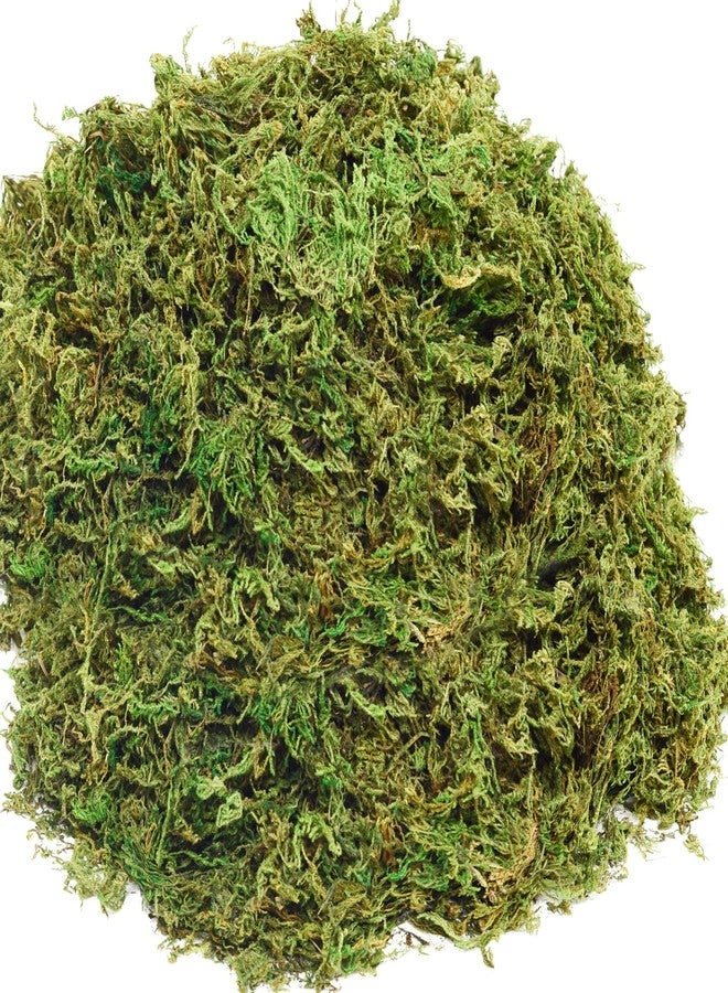 طحالب صناعية من زيابا، 10 أونصة، طحالب اصطناعية للنباتات المنزلية، طحالب خضراء، ديكور منزلي، أشغال يدوية لحديقة الجنيات، زينة حفلات الزفاف (أخضر نضر) - Image 1