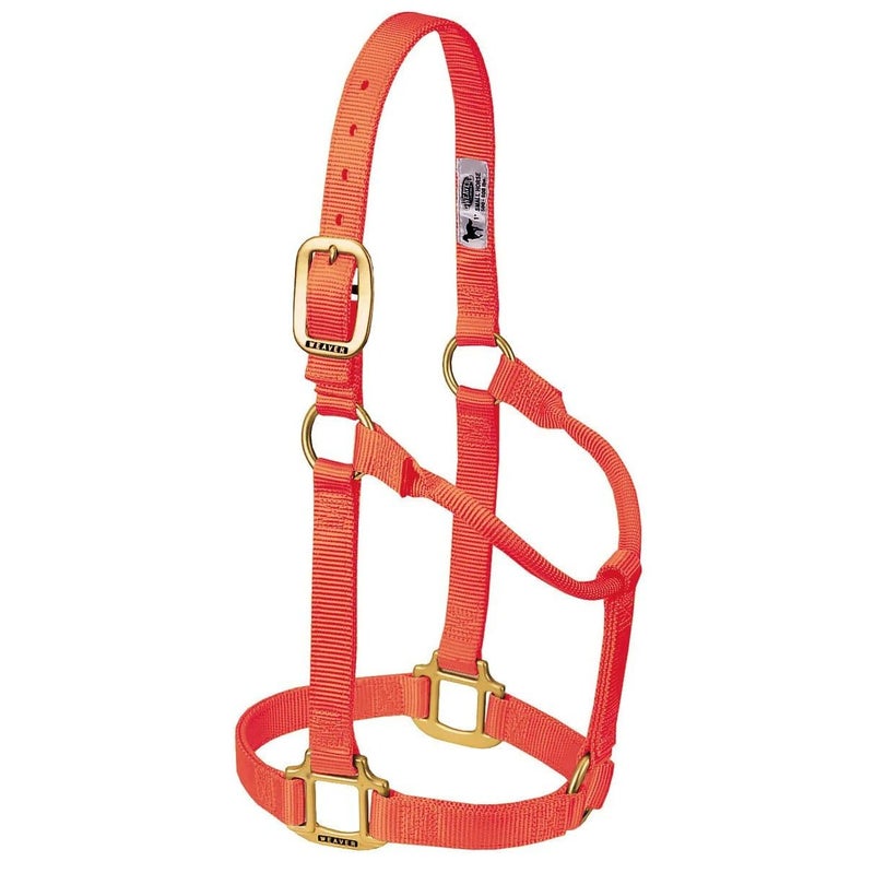 Weaver Leather Original Non-Adjustable Nylon Horse Halter, Average, Orange - Image 1
