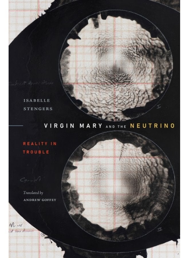 Virgin Mary and the Neutrino Reality in Trouble - Paperback